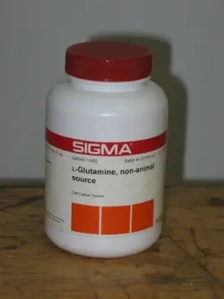 مشخصات ، قیمت و خرید ال گلوتامین L-Glutamine - آزمالوژی