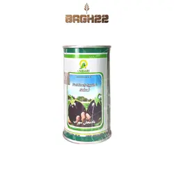 بذر بادمجان سهراب 100گرمی
