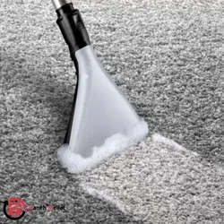 خرید جارو برقی بوش مدل BWD421PRO - قیمت جارو برقی بوش مدل BWD421PRO