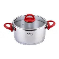 زودپز دوقلو 4 و 6 لیتر نالینو