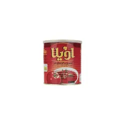 رب گوجه فرنگی اویلا 800 گرمی
