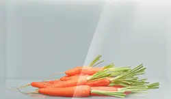 یخچال فریزر دوقلو بوش مدل KSV36VW304 – GSN36VW304