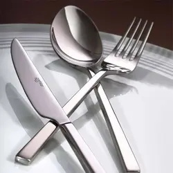 سرویس 36 پارچه قاشق و چنگال فرمال چینی زرین