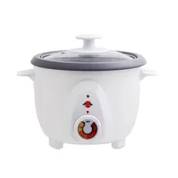 پلوپز پارس خزر مدل تيان 61 | Tyan Rice Cooker