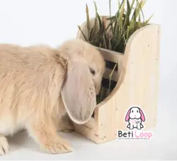 علوفه بند چوبی جوندگان Hay Feeder