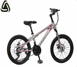 دوچرخه نیمه حرفه ای 20-221