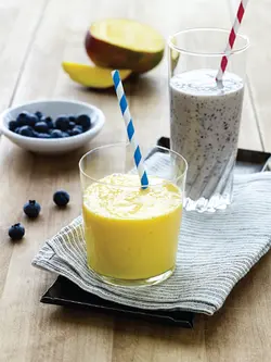 کتاب آشپزی رژیم دش