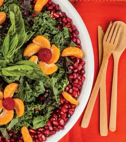 کتاب رژیم غذایی خام خواری