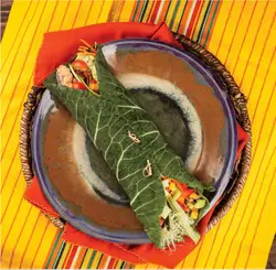 کتاب رژیم غذایی خام خواری