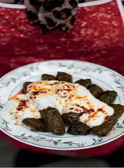 کتاب آشپزی ترکی استانبول و فراتر از آن