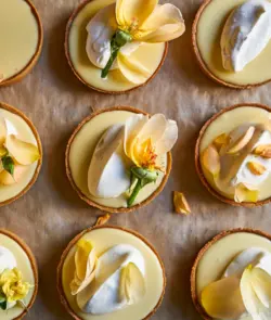 کتاب شیرینی پزی تارتینه (ترجمه فارسی) | دوره و کتاب آشپزی | آکادمی بوک سی اف