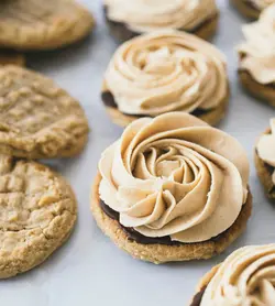 100 طرز تهیه کوکی