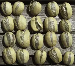 کتاب الکترونیکی هنر و علم قهوه