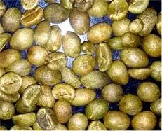 کتاب الکترونیکی هنر و علم قهوه