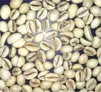 کتاب الکترونیکی هنر و علم قهوه