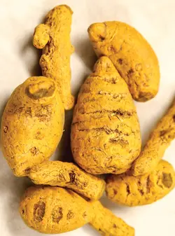 کتاب تخصصی ادویه شناسی و چاشنی