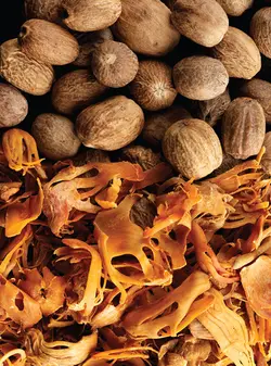 کتاب تخصصی ادویه شناسی و چاشنی