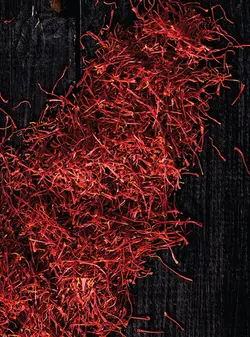کتاب تخصصی ادویه شناسی و چاشنی