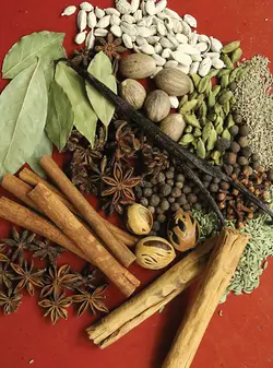 کتاب تخصصی ادویه شناسی و چاشنی