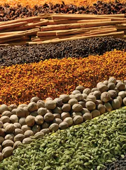 کتاب تخصصی ادویه شناسی و چاشنی