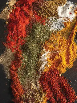 کتاب تخصصی ادویه شناسی و چاشنی