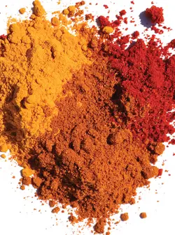 کتاب تخصصی ادویه شناسی و چاشنی