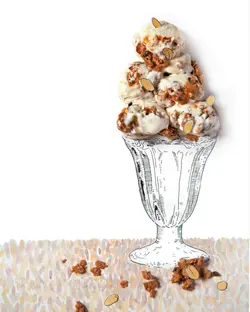 کتاب سلام اسم من بستنی است (ترجمه فارسی) | دوره و کتاب آشپزی | آکادمی بوک سی اف