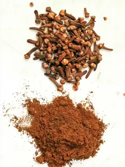 کتاب درباره ادویه (ترجمه فارسی) | دوره و کتاب آشپزی | آکادمی بوک سی اف