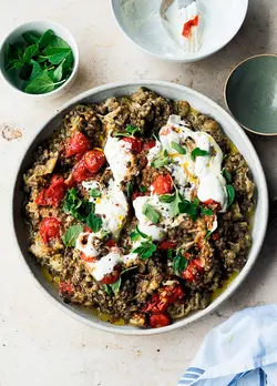 کتاب آشپزی ساده از Ottolenghi | دوره و کتاب آشپزی | آکادمی بوک سی اف