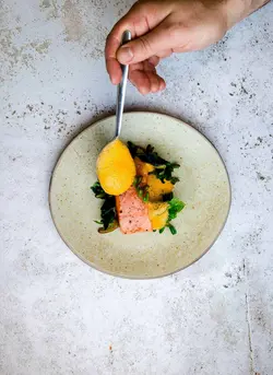 کتاب گارنیش (ترجمه فارسی) | دوره و کتاب آشپزی | آکادمی بوک سی اف