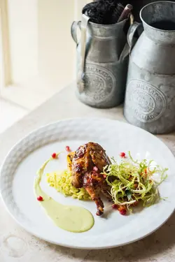 کتاب گارنیش (ترجمه فارسی) | دوره و کتاب آشپزی | آکادمی بوک سی اف