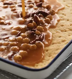 کتاب کوکی های یک دختر