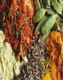 کتاب آشپزی همنشینی گیاه و ادویه