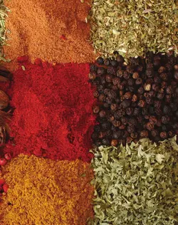 کتاب آشپزی همنشینی گیاه و ادویه