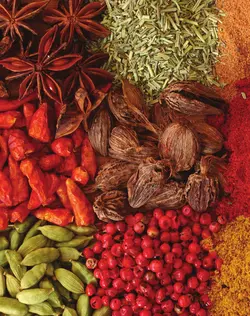 کتاب آشپزی همنشینی گیاه و ادویه