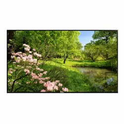 مانیتور صنعتی ۵۵ اینچ فیلیپس Philips 55BDL4050D - بانی کالا