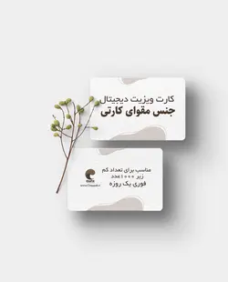 کارت ویزیت کارتی