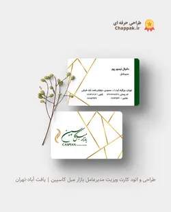 کارت ویزیت کارتی