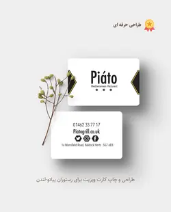 کارت ویزیت کارتی