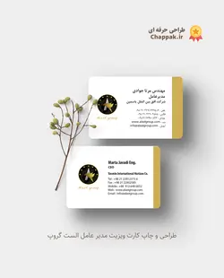 کارت ویزیت کارتی