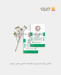 کارت ویزیت کارتی