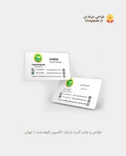 کارت ویزیت کارتی