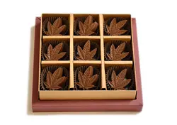 باکس شکلات دستساز طرح برگ