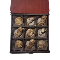 باکس شکلات دست ساز دریایی