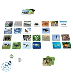 بازی کارتی زیستاس