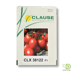 بذر گوجه CLX 38122 کلوز - مزرعه دانش - فروش آنلاین بذر،سم، کود و ابزارآلات