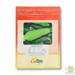 بذر کدو خورشتی الیویا - مزرعه دانش - فروش آنلاین بذر،سم، کود و ابزارآلات