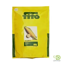 بذر ذرت شیرین فیتو  SF 1280 F1 (سوپرسوئیت)