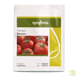 خرید بذر گوجه سرین سینجنتا - مزرعه دانش - فروش بذر،سم، کود و ابزارآلات