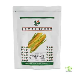 خرید بذر ذرت شیرین (سوپرسوئیت) وَنِسا (VANESSA F1) - مزرعه دانش